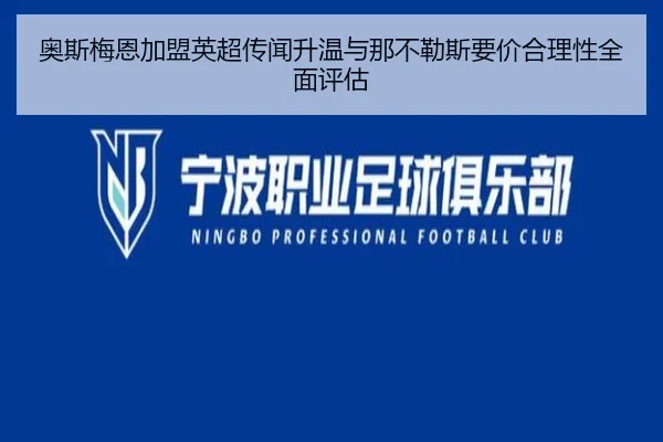 奥斯梅恩加盟英超传闻升温与那不勒斯要价合理性全面评估