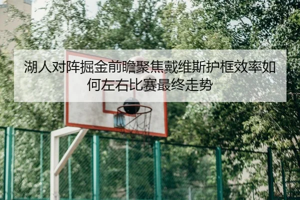 湖人对阵掘金前瞻聚焦戴维斯护框效率如何左右比赛最终走势